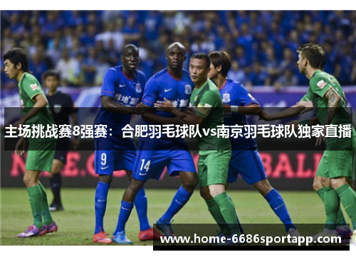 主场挑战赛8强赛：合肥羽毛球队vs南京羽毛球队独家直播